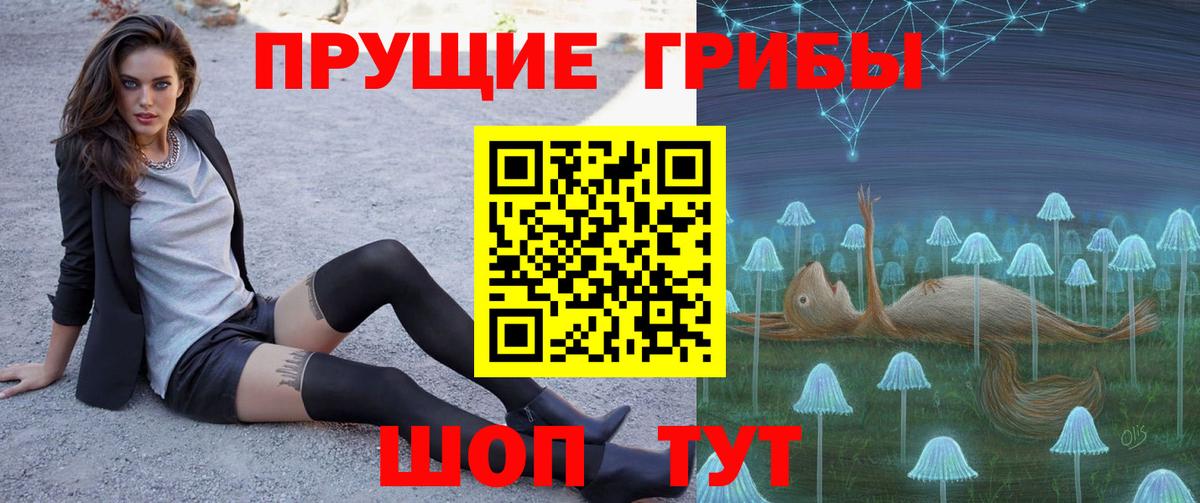 Галлюциногенные грибы Psilocybe  Галлюциногенные грибы MAGIC MUSHROOMS  Вход с VPN  где продают   Сургут 